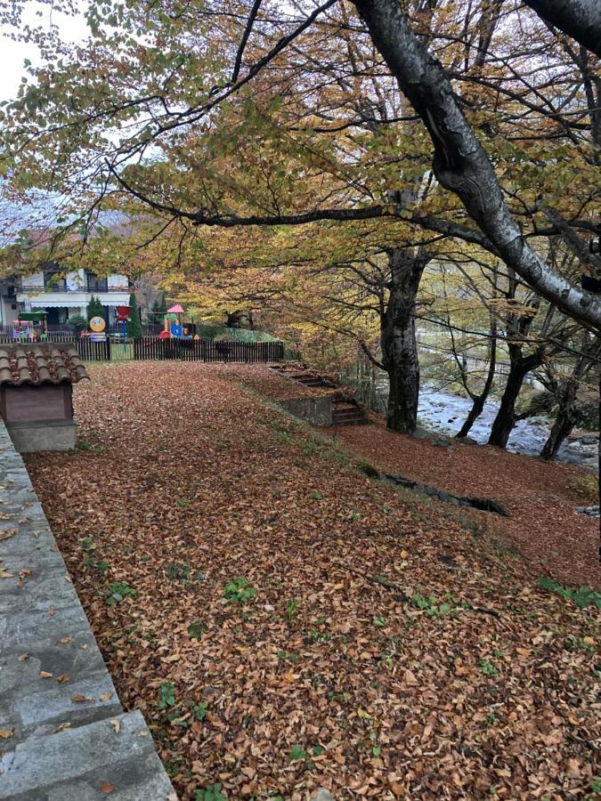 Балкан Вили Ribaritsa Buitenkant foto